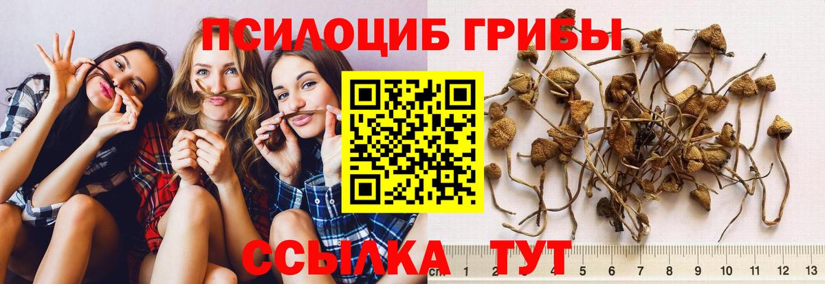 Галлюциногенные грибы MAGIC MUSHROOMS  даркнет сайт  Вход с VPN  Баксан  Галлюциногенные грибы Cubensis 